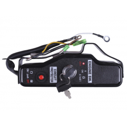 Двигун 194FE - бензин (під шпонку діаметр 25 мм) (з понижувальним редуктором 1/2) (22 к.с.) з електростартером