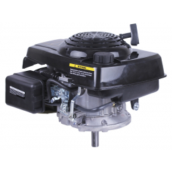 Двигун 1P65F (з вертикальним валом) (5.5 к.с.) TT