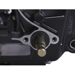 Двигун (BL170MM) - CG300 з водяним охолодженням