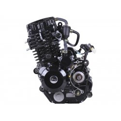 Двигун (L170MM) - CG300 з водяним охолодженням