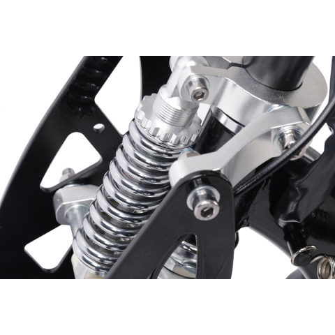 Електросамокат із сидінням TTG SM DES06B1 36V 800W 12AH чорний