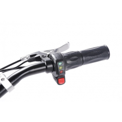 Електросамокат із сидінням TTG SM DES06C1 36V 1000W 12AH чорний