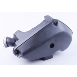 Фільтр повітряний в зборі - 50CC2T