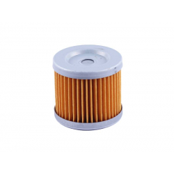 Фільтруючий елемент CG300