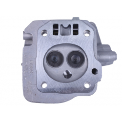 Головка блоку в зборі - 168F - TTG