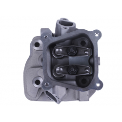 Головка блоку в зборі - 168F - TTG