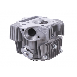 Головка циліндра в зборі 52 мм - Актив/Дельта/Альфа - TTG