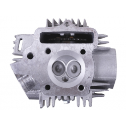 Головка циліндра в зборі 52 мм - Актив/Дельта/Альфа - TTG