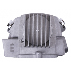 Головка циліндра в зборі 52 мм - Актив/Дельта/Альфа - TTG