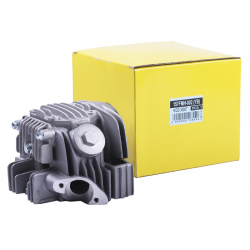 Головка циліндра в зборі - Alpha125СС Y-BOX