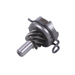 Храповик + пружина - 50CC4T - TTG