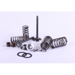 Клапани + к-т на 2 клапани - Актив/Дельта/Альфа