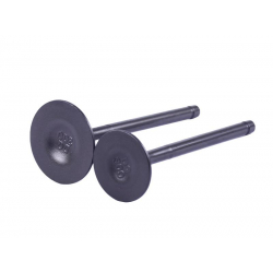 Клапани CG300