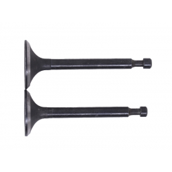 Клапани, к-т: 2 шт. - 168F Y-BOX