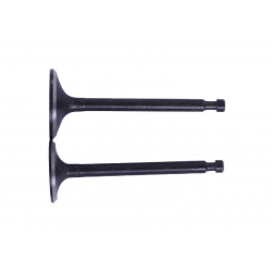 Клапани, к-т: 2 шт. - 188F Y-BOX