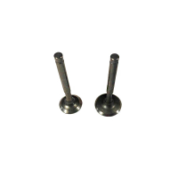 Клапани, к-т: 2 шт. - 1.8KW/2.0KW