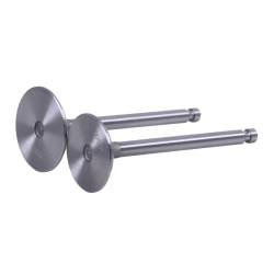 Клапани, к-т: 2 шт. - 192D YBX