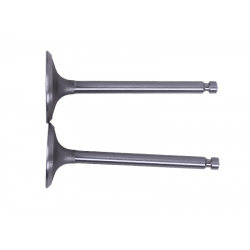 Клапани, к-т: 2 шт. - 192D YBX