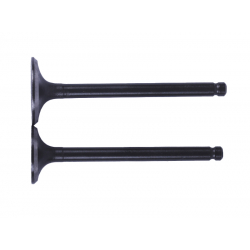 Клапани, к-т 2 шт. - Актив/Дельта/Альфа YBX