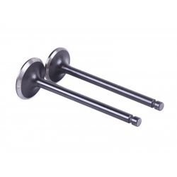 Клапани, к-т: 2 шт. - Alpha125СС