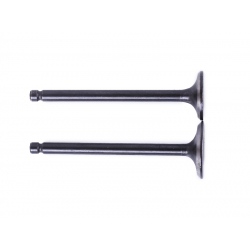 Клапани, к-т: 2 шт. - Alpha125СС