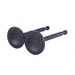 Клапани, к-т: 2 шт. - P70F