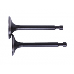 Клапани, к-т 2 шт. - P70F (ZS)