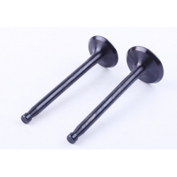 Клапани, к-т: 2 шт. - ZS/ZH1100 YBX