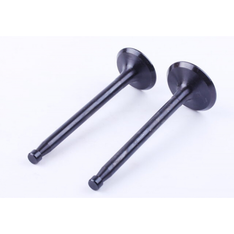 Клапани, к-т: 2 шт. - ZS/ZH1100 YBX