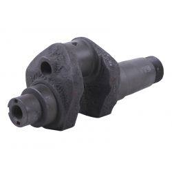 Колінвал голий GZ (різьблення М12) - 195N - TTG