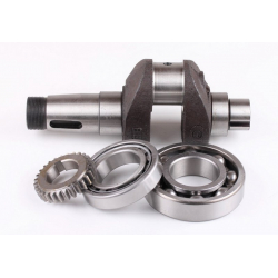 Колінвал в зборі + підшипники 2 шт. + шестерня - 190N