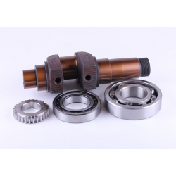 Колінвал в зборі + шестерня - GZ - 195N