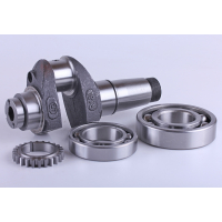 Колінвал в зборі + шестерня Z-24 - 175N