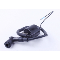 Котушка запалювання - Актив