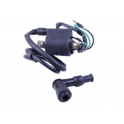 Котушка запалювання + надсвічник - Дельта