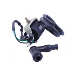 Котушка запалювання + надсвічник - Дельта