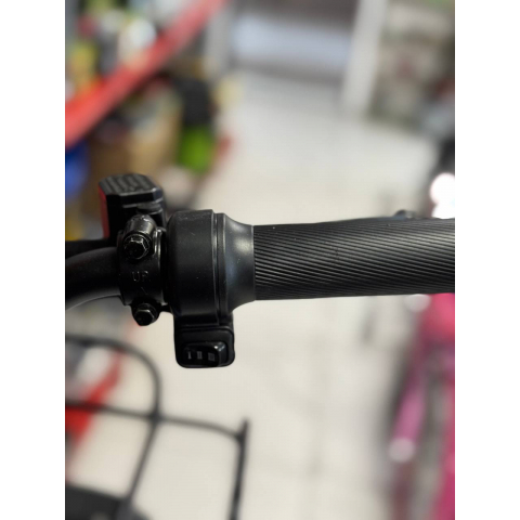 Велоскутер акумуляторний FORTE CRUISE 800 Вт Синій