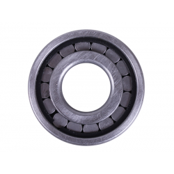 Підшипник (валу проміжного) NF 306 EV - GF