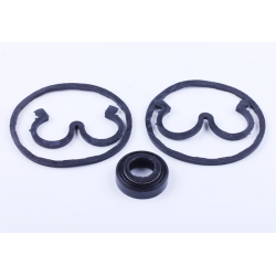 Ремкомплект НШ Xingtai 120/220