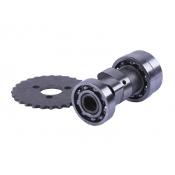 Розподільний вал + зірка - Актив/Дельта/Альфа YBX