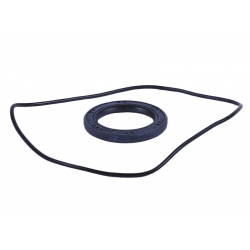 Сальник + ущільнювач пластини зчеплення - Дельта/Альфа YBX