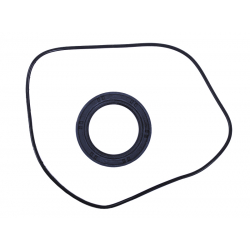 Сальник + ущільнювач пластини зчеплення - Дельта/Альфа YBX