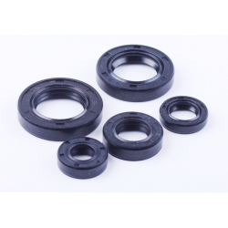 Сальники, к-т 5 шт. - 50CC2T