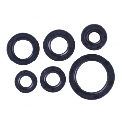 Сальники, к-т: 6 шт. - Дельта/Альфа - TTG