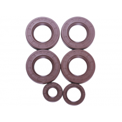 Сальники, к-т: 6 шт. - КПП/6 - TTG