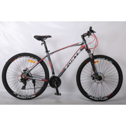 Велосипед Спортивний 29" Forte Titan 