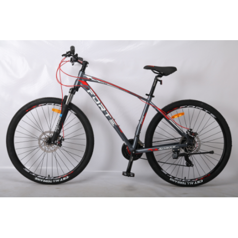 Велосипед Спортивний 29" Forte Titan 