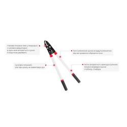 Сучкоріз садовий для обрізання гілок 730 мм INTERTOOL FT-1112