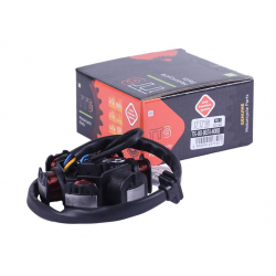 Якір генератора (6 котушок) - Альфа - TTG